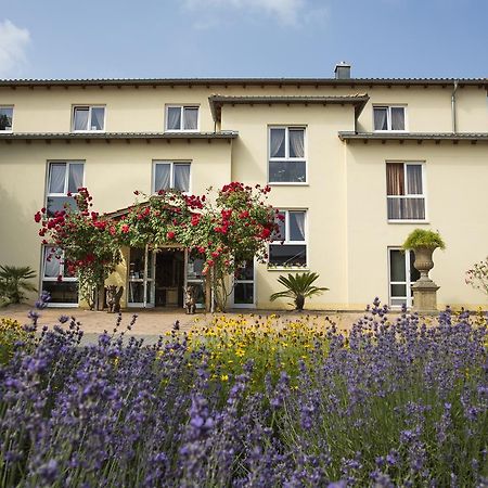 Mediterran Hotel Juwel Karlstein am Main Exterior photo